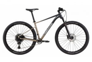 HALBSTARRES MOUNTAINBIKE CANNONDALE TRAIL SL 1 SRAM NXSX EAGLE 12V 29'' GRAU METEOR BEIGE