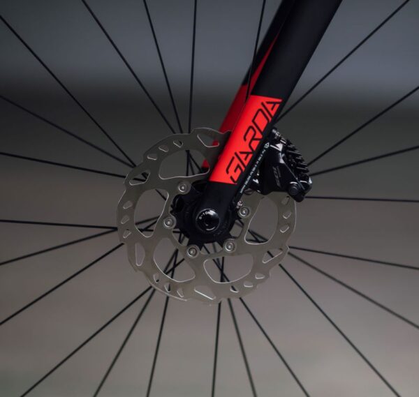 Wilier Garda Disc carbon Ultegra R8020