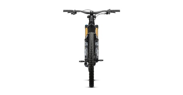 Radon RENDER 10.0 HD 750 2024