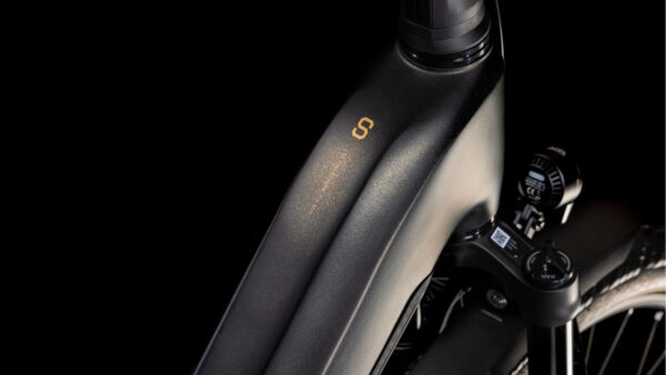 Cube Kathmandu Hybrid SLT Easy Entry 800 golddust´n´black